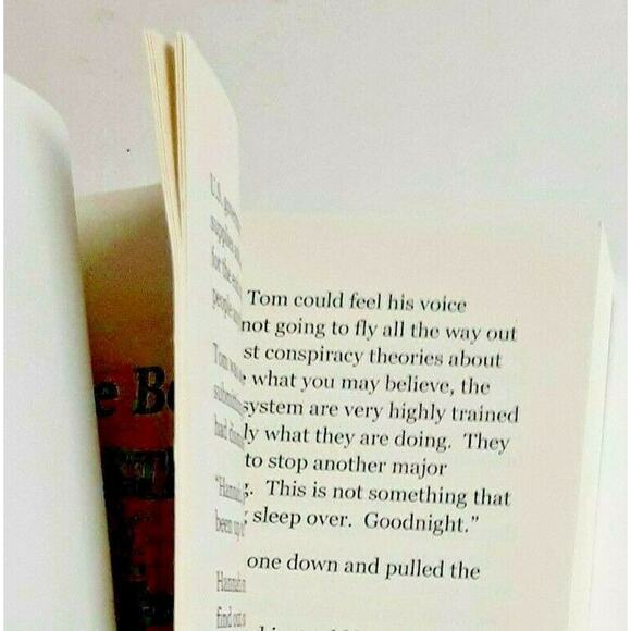 The Beginning of the End Prophecy End Times Thriller Fiction Book Michael Snyder - Picture 8 of 8